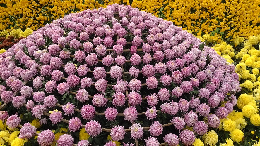 img008