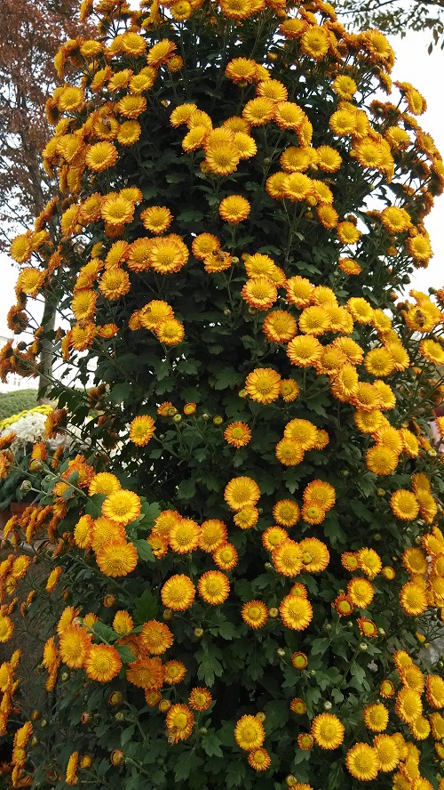 img011